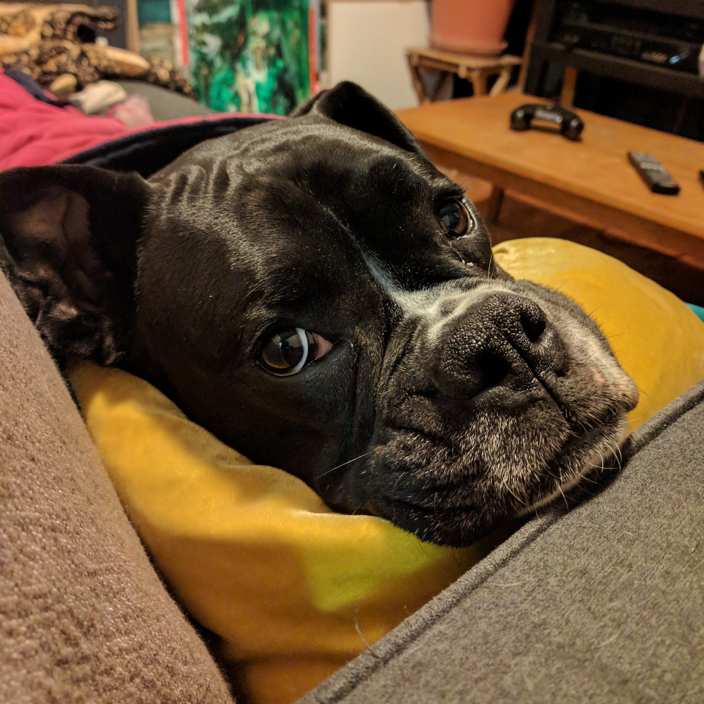 Willie, you want to go outside?