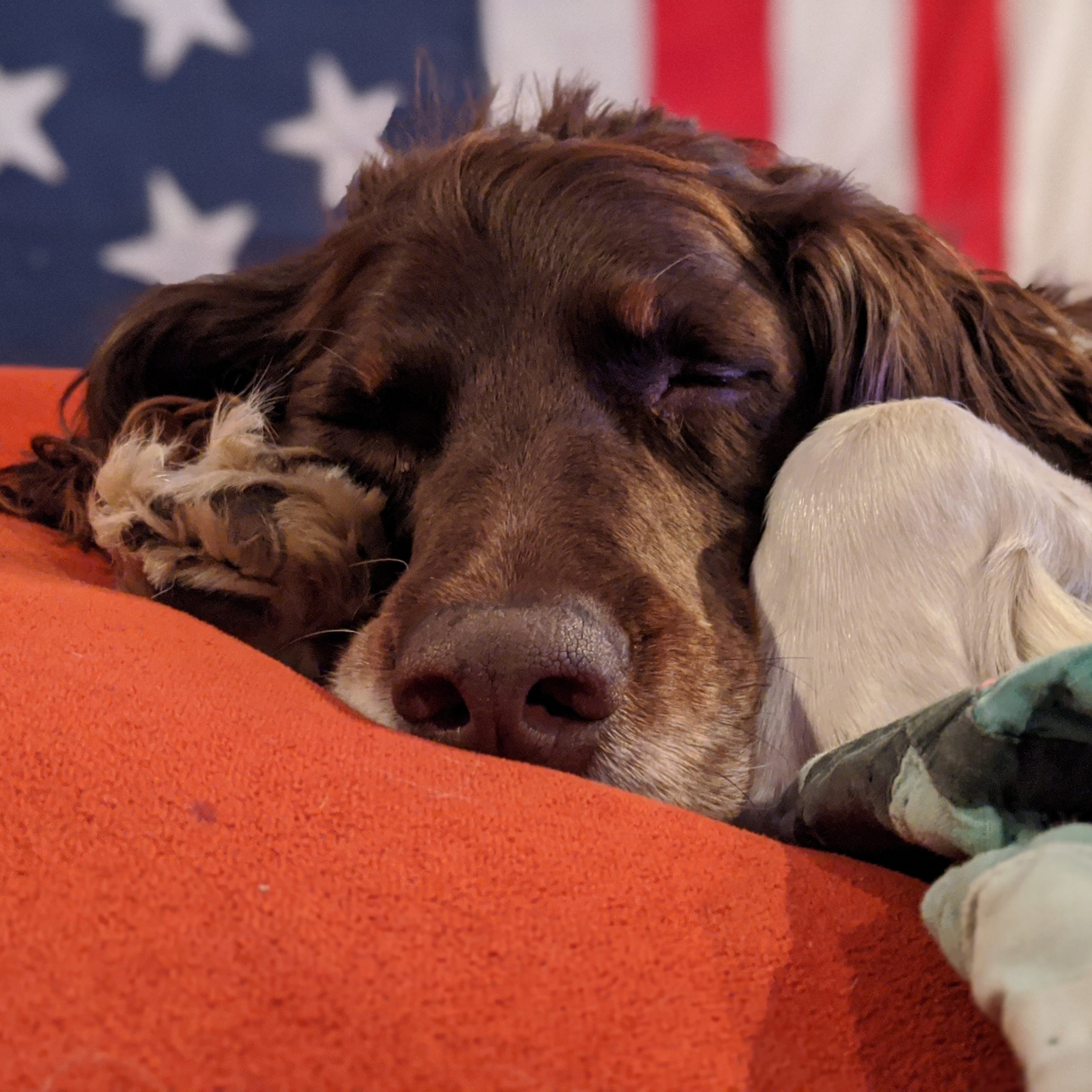 God damnit, this is America: ep11