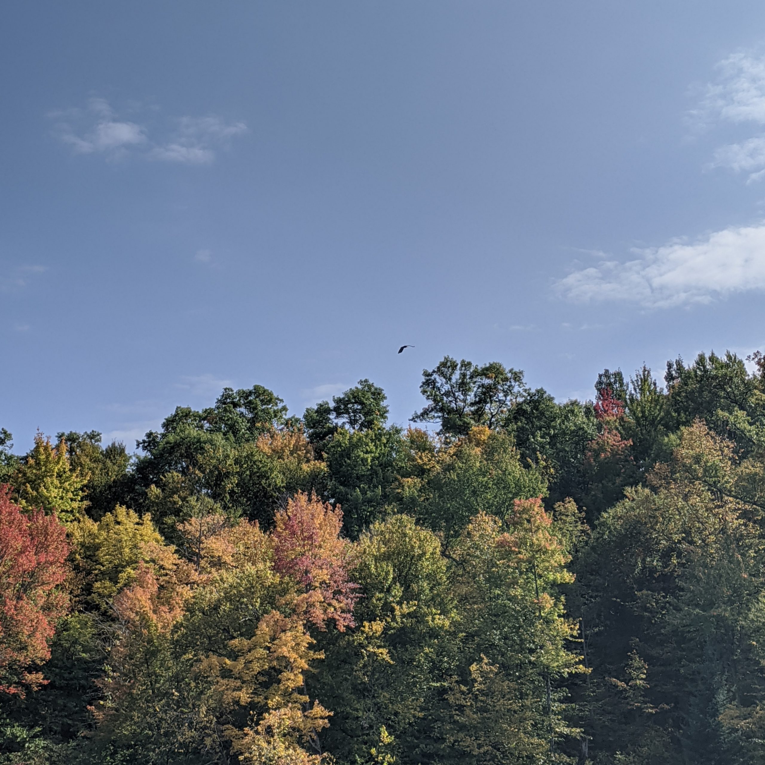 God damnit, this is America: ep12