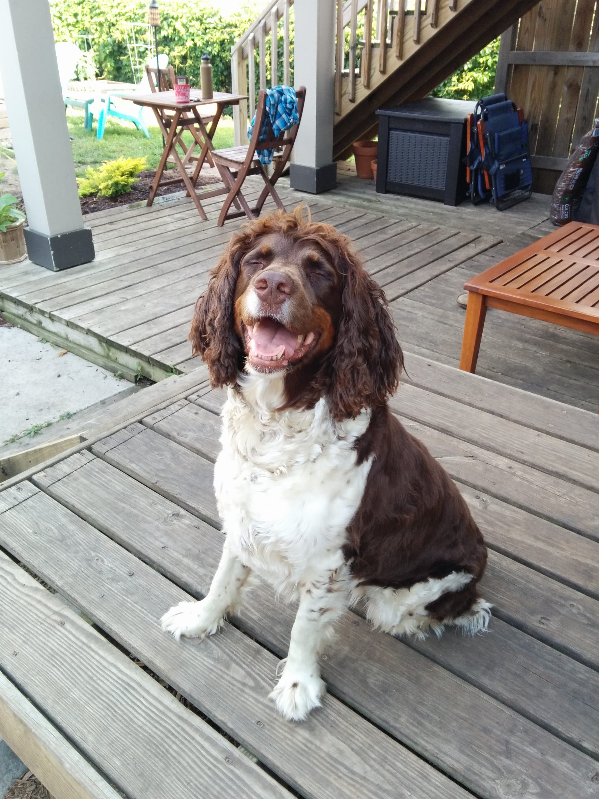 10 Years of Scrunching