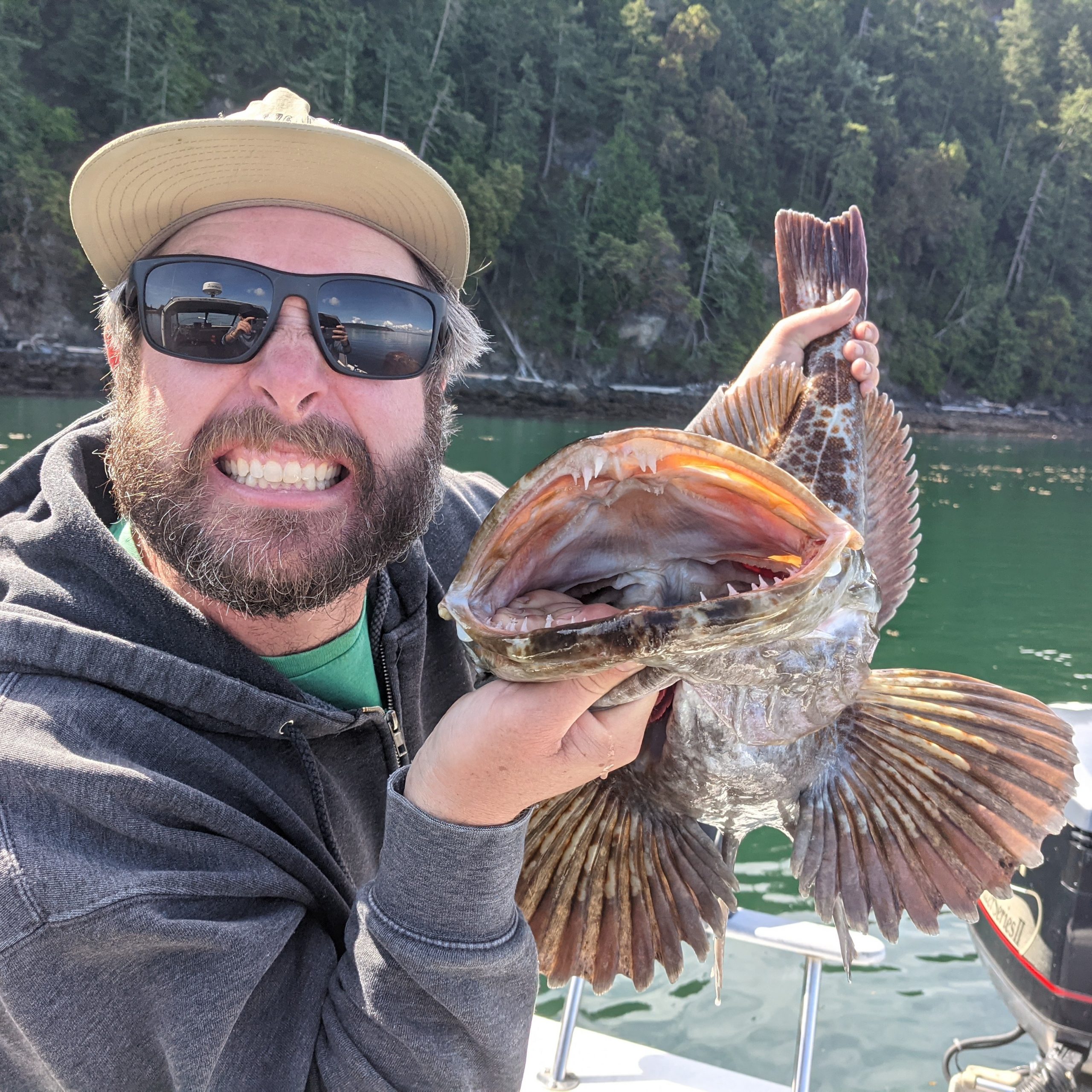 Lingcod-ing