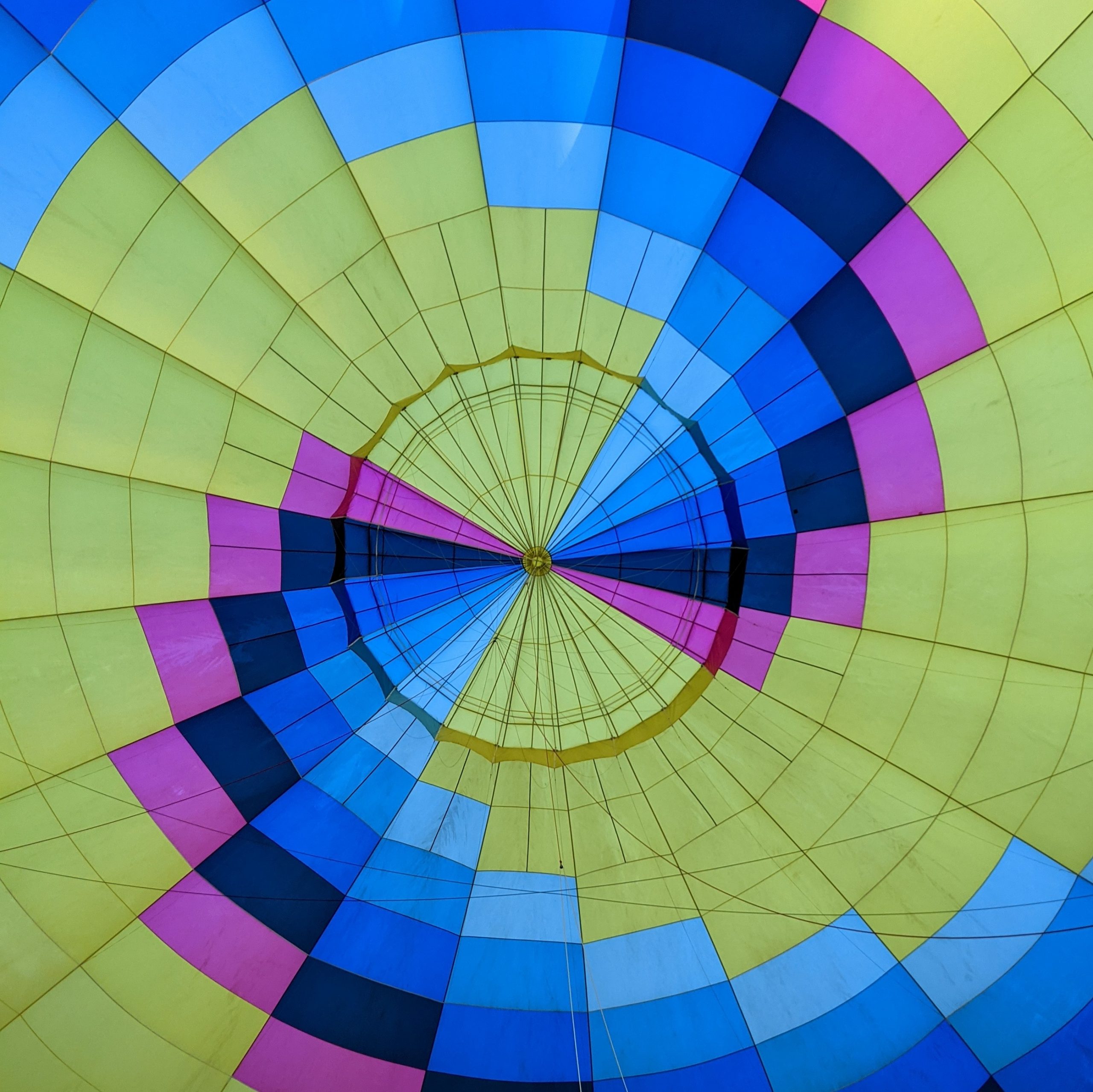 Dynamic. Zippy. Forty.