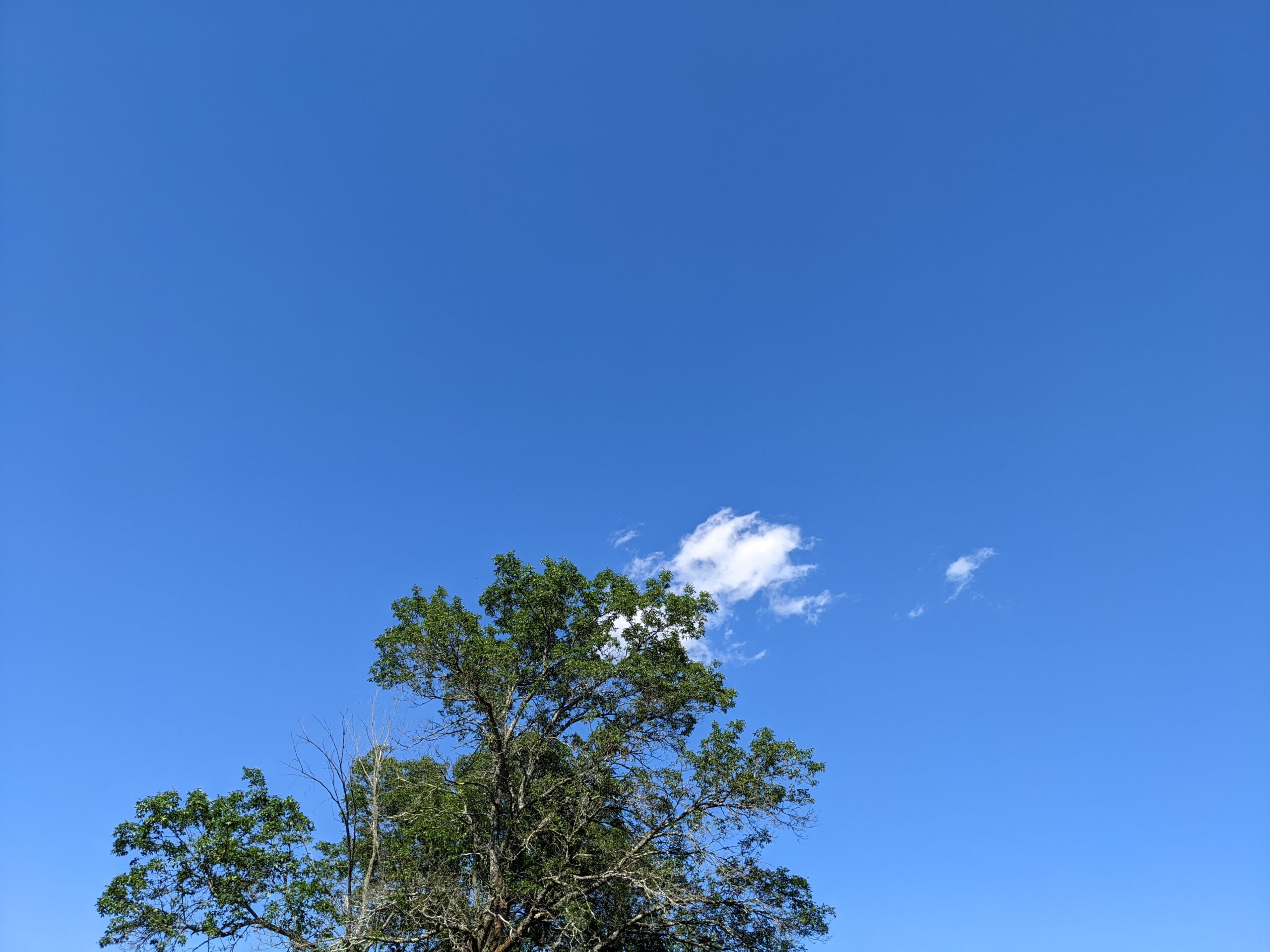 Another day on the river