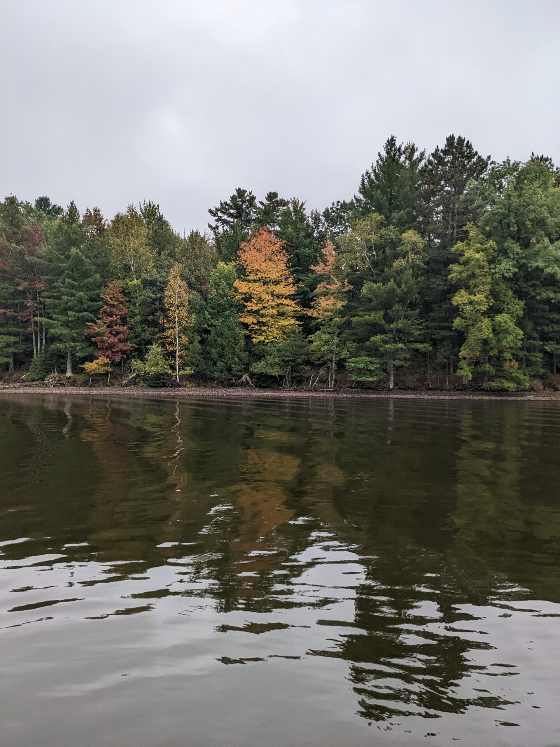 A Bee’s Precious Time