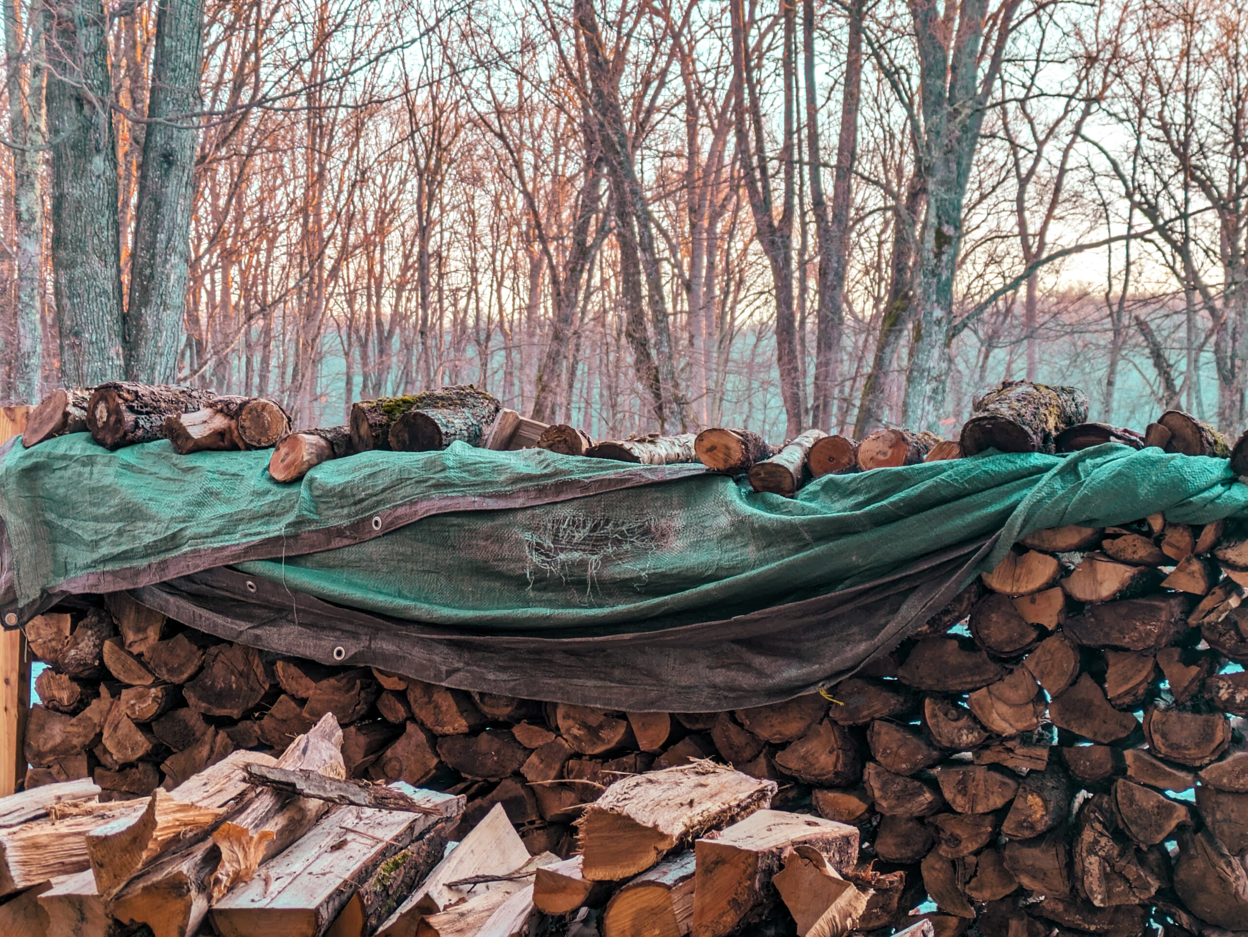 El Niño’s Leftovers