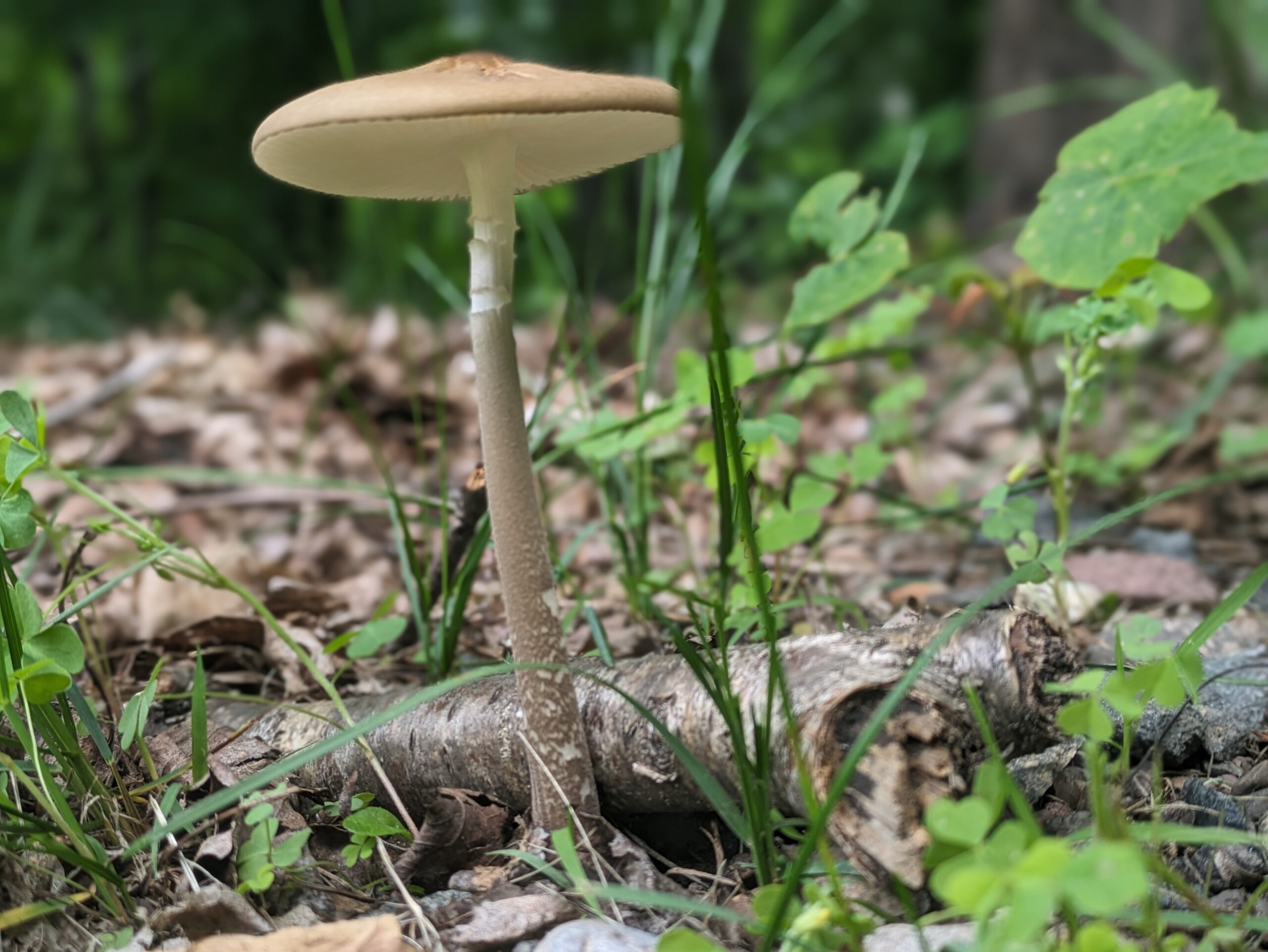 Nothing comes to mind