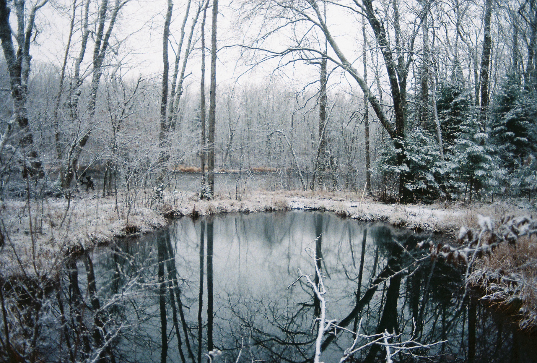 AE-1 Study: Pond